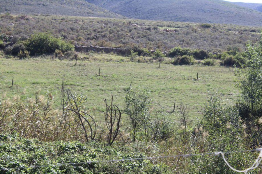 0 Bedroom Property for Sale in Haarlem Western Cape